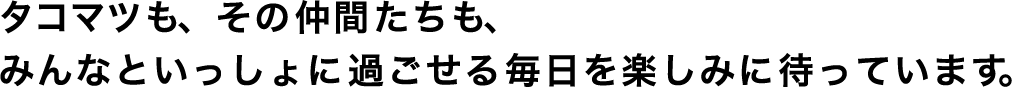 タコマツも、その仲間たちも、みんないっしょに過ごせる毎日を楽しみにまています。