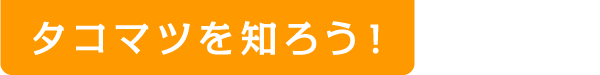 タコマツを知ろう！